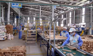 Tuyên Quang: Mục tiêu thành lập mới trên 4.000 doanh nghiệp giai đoạn 2026 - 2030