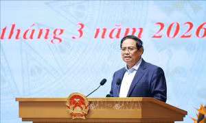 Thủ tướng chủ trì Phiên họp BCĐ về phát triển khoa học, công nghệ, đổi mới sáng tạo, chuyển đổi số và Đề án 06