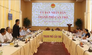 Đoàn doanh nghiệp Singapore và Indonesia tìm hiểu cơ hội hợp tác đầu tư tại Cần Thơ