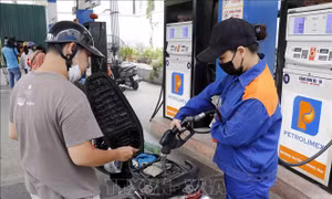 VPI dự báo giá xăng giảm, giá dầu tăng trong kỳ điều hành ngày 22/1