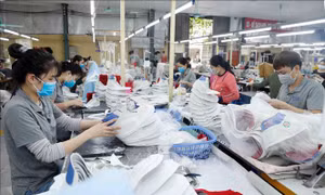 Xuất khẩu với hành trình vươn mình, khẳng định vị thế