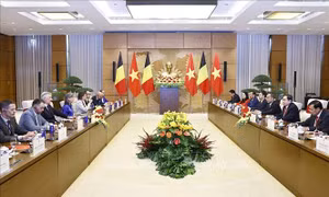 Chủ tịch Quốc hội Trần Thanh Mẫn hội kiến Nhà Vua Vương quốc Bỉ Philippe