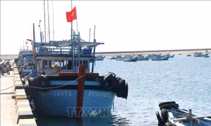 Khắc phục 'thẻ vàng' IUU: Thiết lập 2 điểm lên cá tạm tại Phú Quý