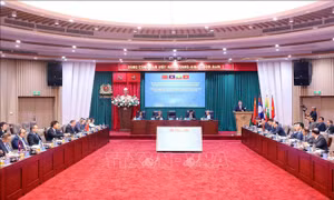 Bốn quốc gia phối hợp tấn công trấn áp tội phạm ma túy