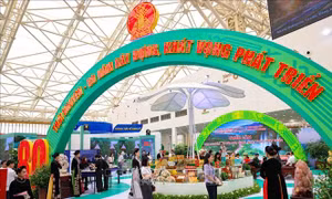 Triển lãm thành tựu đất nước: Cơ hội trải nghiệm các sản phẩm tinh hoa từ mọi miền đất nước 