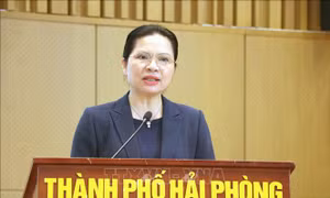 Nhanh chóng triển khai Nghị quyết Đại hội XI Mặt trận Tổ quốc Việt Nam