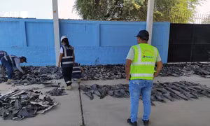Peru: Thu giữ khoảng 1,3 tấn vây cá mập bị buôn bán trái phép