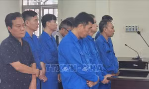 Tuyên án 14 bị cáo lừa đảo, chiếm đoạt tiền của nhà nước