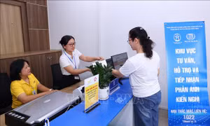 Kết luận số 192-KL/TW về thực hiện pháp luật về phân cấp, phân quyền, phân định thẩm quyền khi vận hành chính quyền địa phương 2 cấp