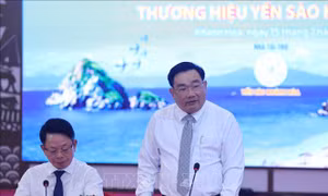 Bảo tồn chim yến, giữ gìn ‘vàng trắng’ của biển Khánh Hòa