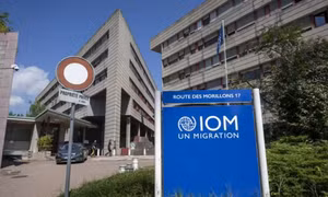 IOM chấm dứt nhiều dự án, sa thải hàng loạt nhân viên do bị cắt giảm viện trợ