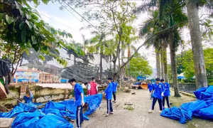 Tạm dừng hoạt động du lịch, khẩn trương hỗ trợ người dân phòng, chống bão số 3
