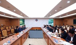 Tăng cường hợp tác với OECD trong việc nâng cao năng lực quản trị doanh nghiệp
