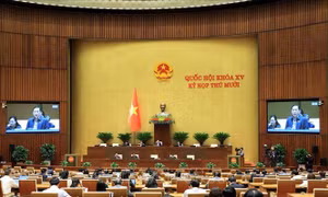Tuần làm việc thứ 6, Kỳ họp thứ 10, Quốc hội khóa XV