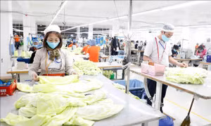 Ứng dụng công nghệ nâng tầm giá trị dệt may và da giày Việt Nam
