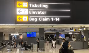 Mỹ: TSA cho phép tiễn hành khách tại cổng lên máy bay ở một số sân bay