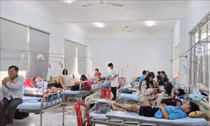 Vụ nghi ngộ độc thực phẩm ở Đắk Lắk: Tạm đình chỉ hoạt động của cơ sở bánh mì Q.H