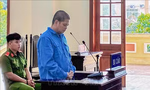 Phạt tù 'cò lúa' lừa tiền của thương lái