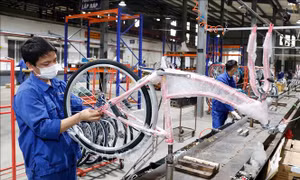 Tự động hóa, chìa khóa nâng tầm cơ khí Việt