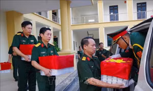 Hoàn thành bàn giao 100% mẫu hài cốt liệt sĩ đợt 1 phục vụ giám định ADN