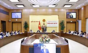 Ủy ban Thường vụ Quốc hội họp về công tác bầu cử