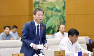Đột phá, đổi mới tư duy xây dựng pháp luật để giữ gìn kỷ luật, kỷ cương hành chính