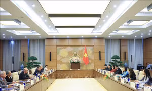 Việt Nam - Hoa Kỳ tăng cường hợp tác giáo dục, đào tạo