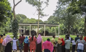 Voi tại vườn thú Bangladesh bất ngờ tấn công làm một cậu bé tử vong