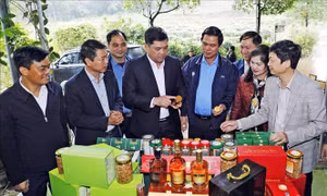 Bắc Ninh tập trung vào 3 đột phá chính nhằm đưa Nghị quyết Đại hội XIV vào cuộc sống
