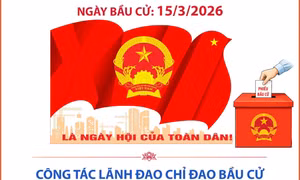Công tác lãnh đạo chỉ đạo bầu cử được triển khai đồng bộ, quyết liệt