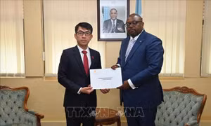Thúc đẩy cơ hội hợp tác kinh tế, thương mại, đầu tư giữa Việt Nam và Botswana