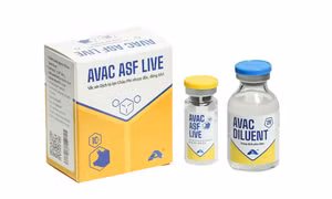Vaccine dịch tả lợn châu Phi của Việt Nam lần đầu tiên xuất khẩu sang Indonesia