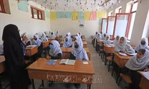 LHQ kêu gọi Taliban tạo điều kiện cho nữ giới được tiếp cận đào tạo y khoa