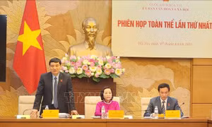 Phiên họp toàn thể lần thứ Nhất của Ủy ban Văn hóa và Xã hội