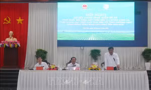 Đưa sản xuất lúa gạo theo hướng xanh, sạch, chất lượng bền vững