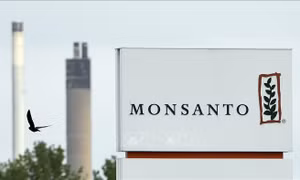 Tòa án Washington buộc Monsanto bồi thường 185 triệu USD