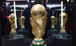 Hội đồng Liên minh châu Âu kêu gọi FIFA cải tổ để bảo vệ tính liêm chính của bóng đá
