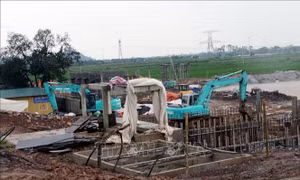Ninh Bình xử lý vi phạm đê điều trên tuyến đê tả Đáy qua Ý Yên