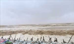 Hà Tĩnh quản lý chặt các phương tiện ra khơi, đảm bảo an toàn đê điều, hồ đập