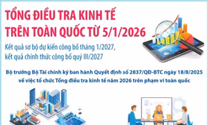 Tổng điều tra kinh tế trên toàn quốc từ 5/1/2026