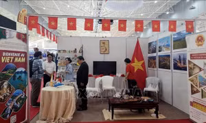 Việt Nam tham gia Hội chợ Quốc tế Algiers 2026