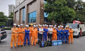 Bão số 10: Điện lực Hải Phòng thành lập đội xung kích hỗ trợ các tỉnh miền Trung