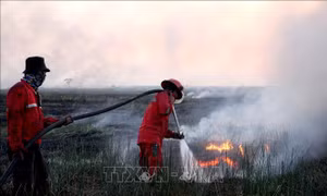 Indonesia tạm dừng hoạt động leo núi tại 9 vườn quốc gia vì cháy rừng