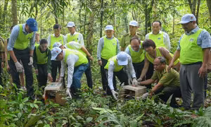 Ngày Quốc tế về Rừng 2026: Khai mở động lực kinh tế địa phương từ rừng