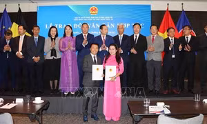 Kết nối Việt Nam với thị trường Bỉ và EU thông qua doanh nghiệp