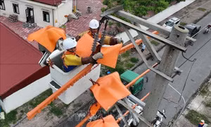 Chưa ghi nhận sự cố lưới điện cao áp do bão số 4