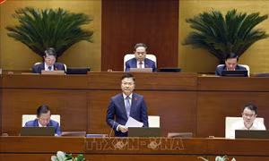 Phó Thủ tướng Lê Thành Long: Triển khai nhiều giải pháp kiểm soát giá vàng, giá nhà đất