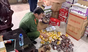 Bắt giam các đối tượng lừa đảo; tiêu hủy hàng hóa không rõ nguồn gốc