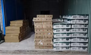 Phát hiện hơn 15 tấn thịt, nội tạng động vật đông lạnh không rõ nguồn gốc