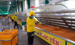 Lấy doanh nghiệp làm trung tâm trong chính sách hỗ trợ